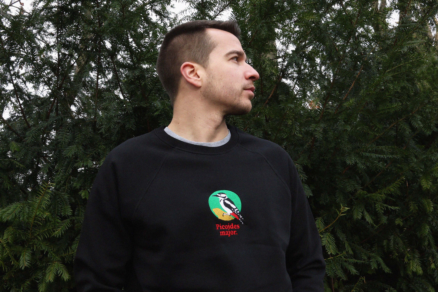 Picoides Major Sweatshirt