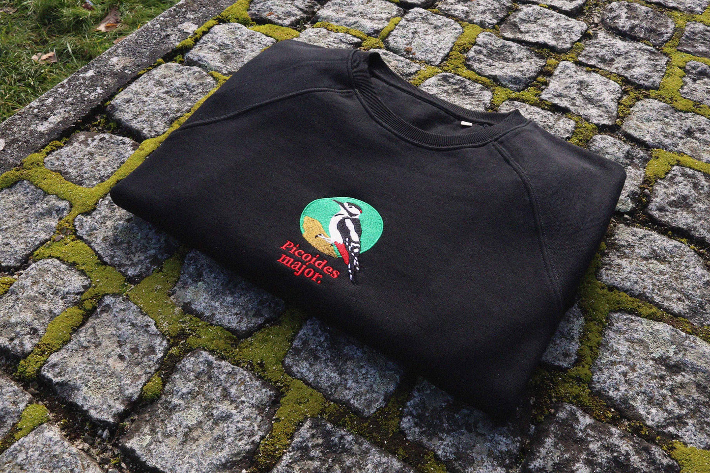 Picoides Major Sweatshirt