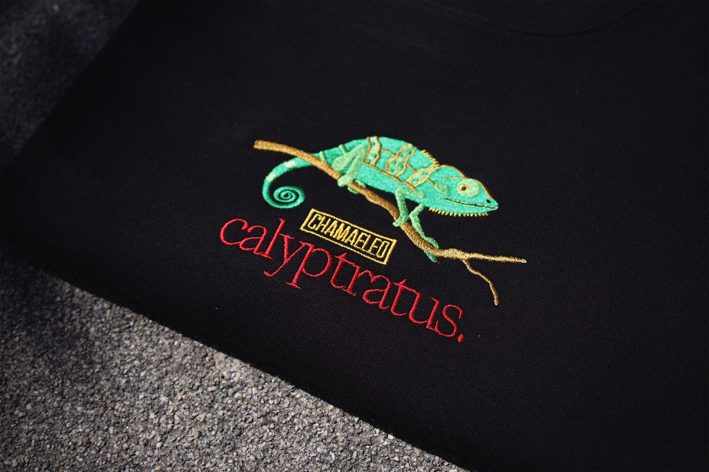 Chamaeleo Sweatshirt