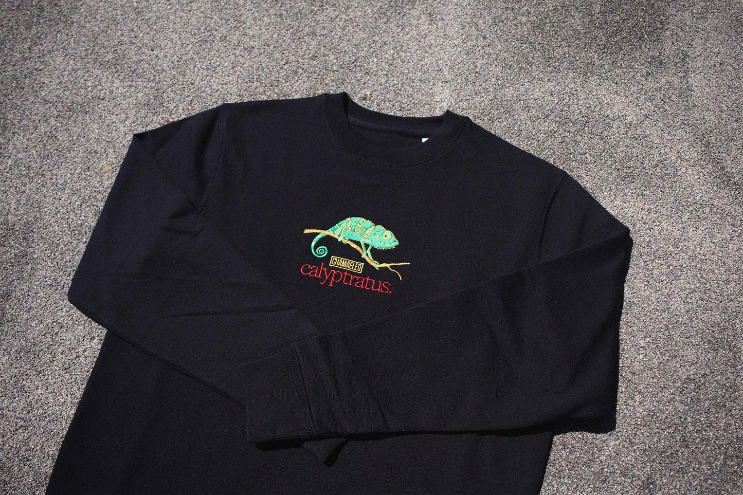 Chamaeleo Sweatshirt