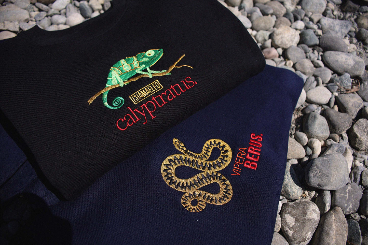 Chamaeleo Sweatshirt