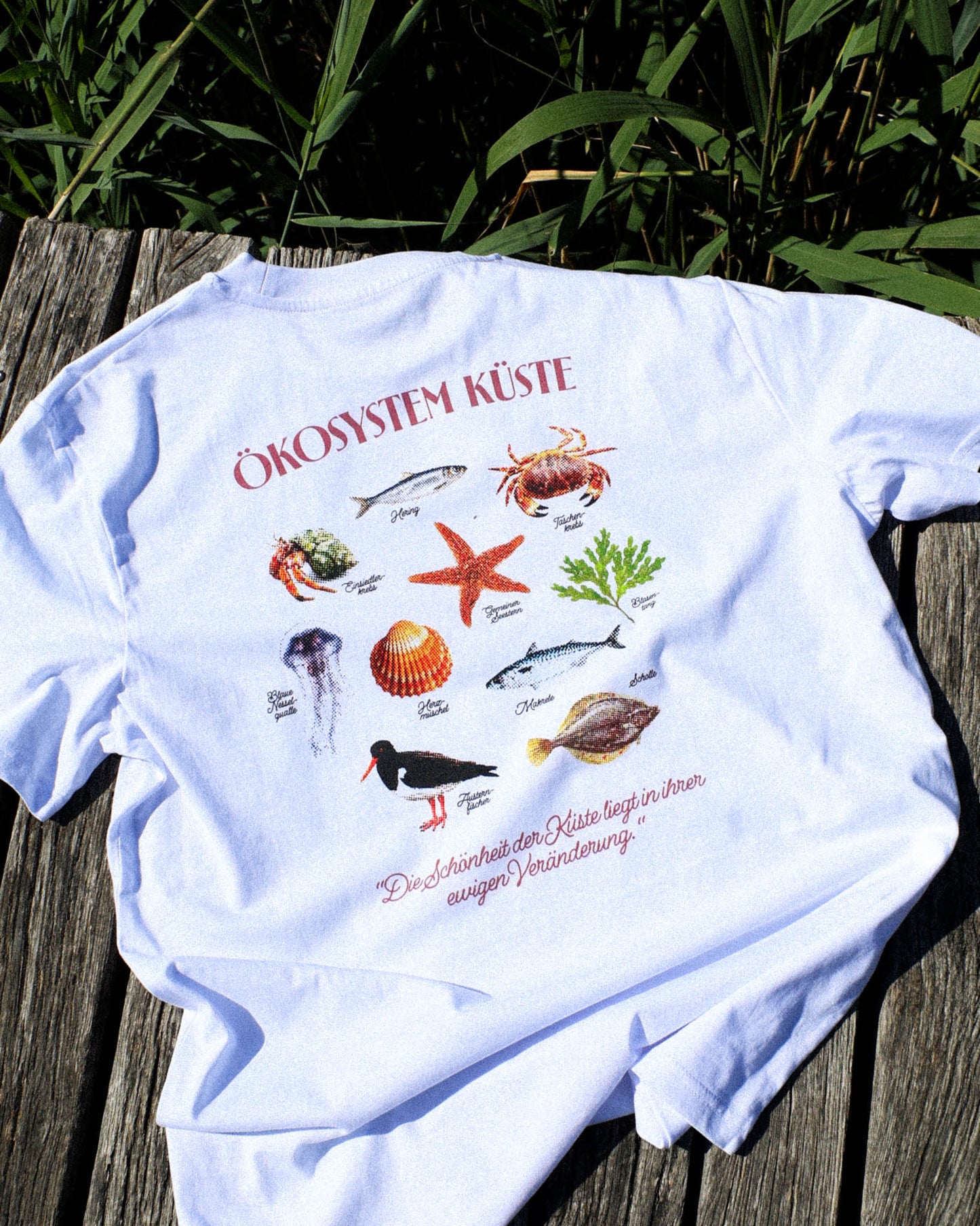Ökosystem Küste T-Shirt - Größe M - SAMPLE