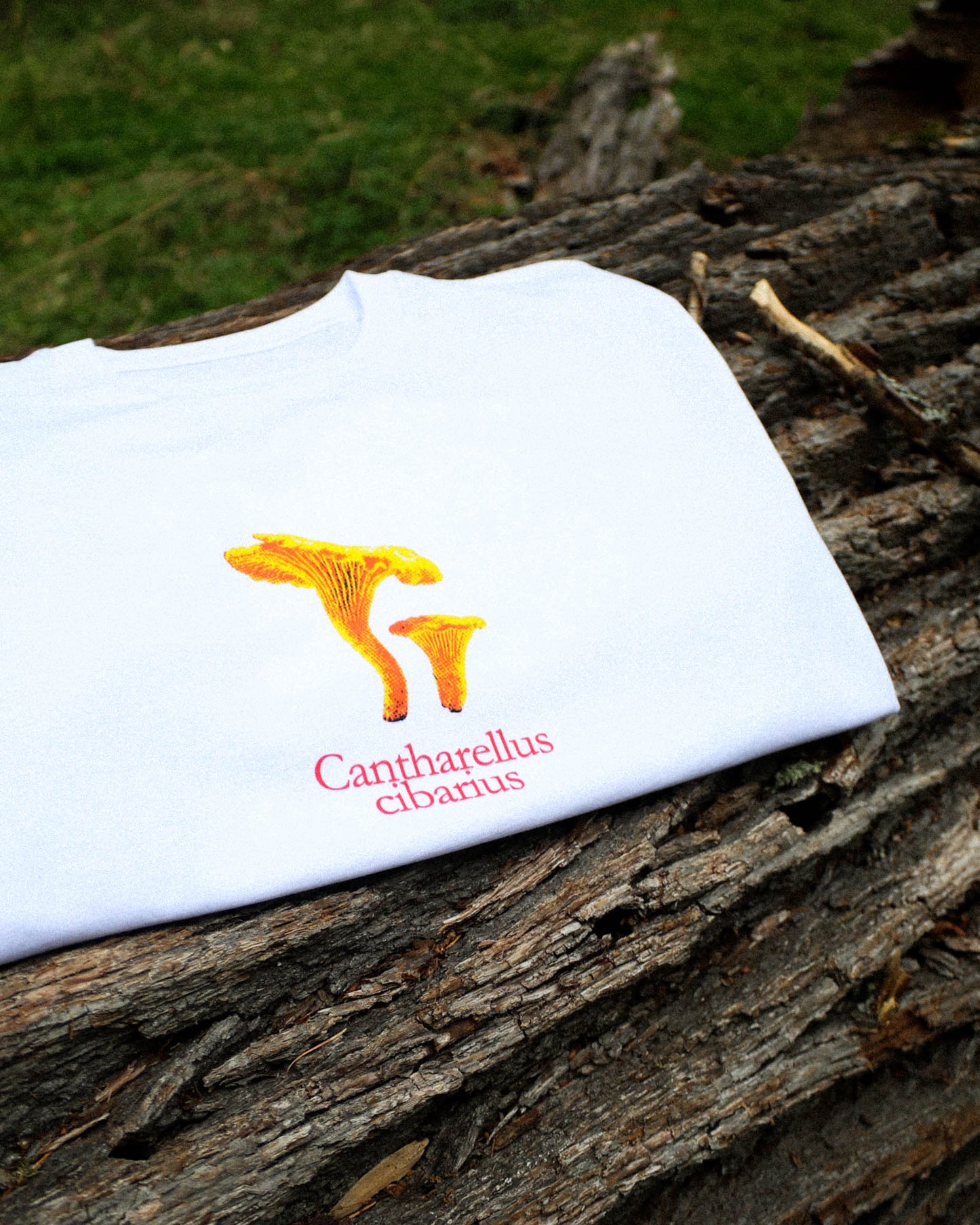 Cantharellus Cibarius T-Shirt