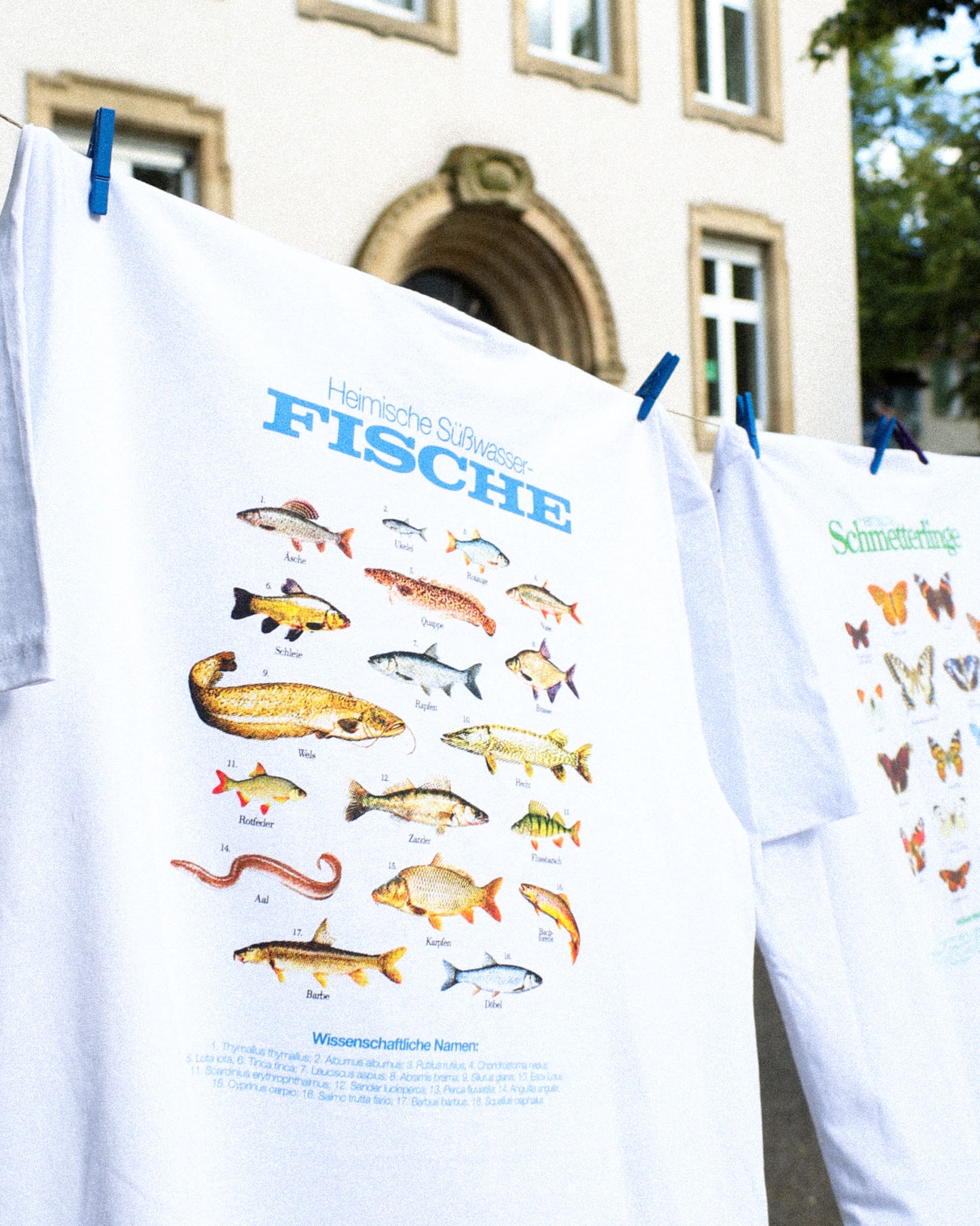 Süßwasserfische T-Shirt