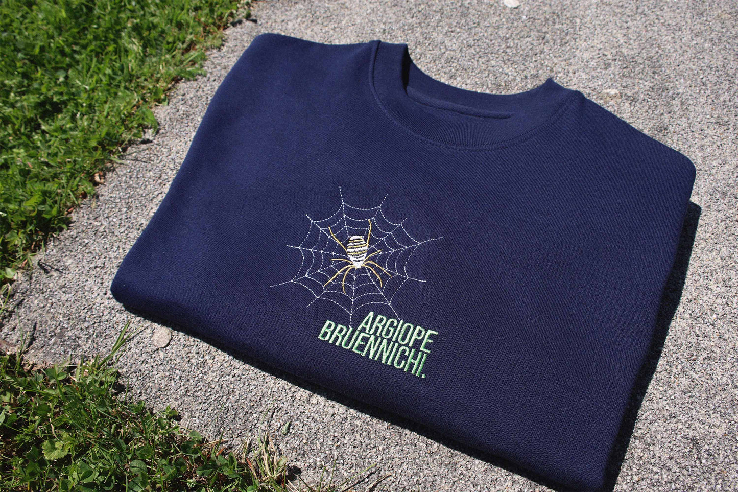 Argiope Bruennichi Hoodie