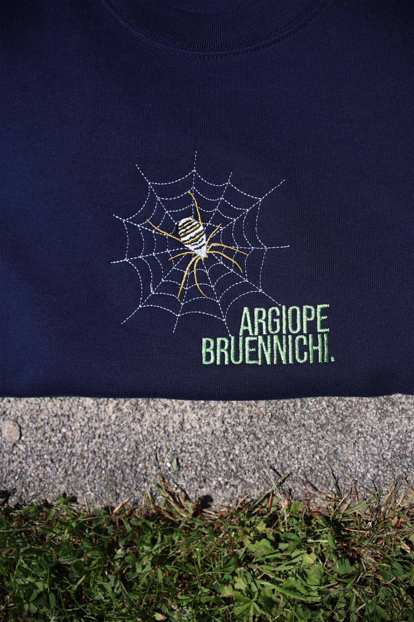 Argiope Bruennichi Hoodie
