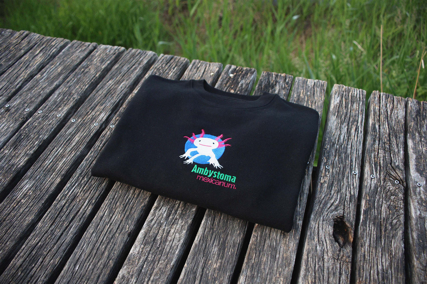 Axolotl Hoodie