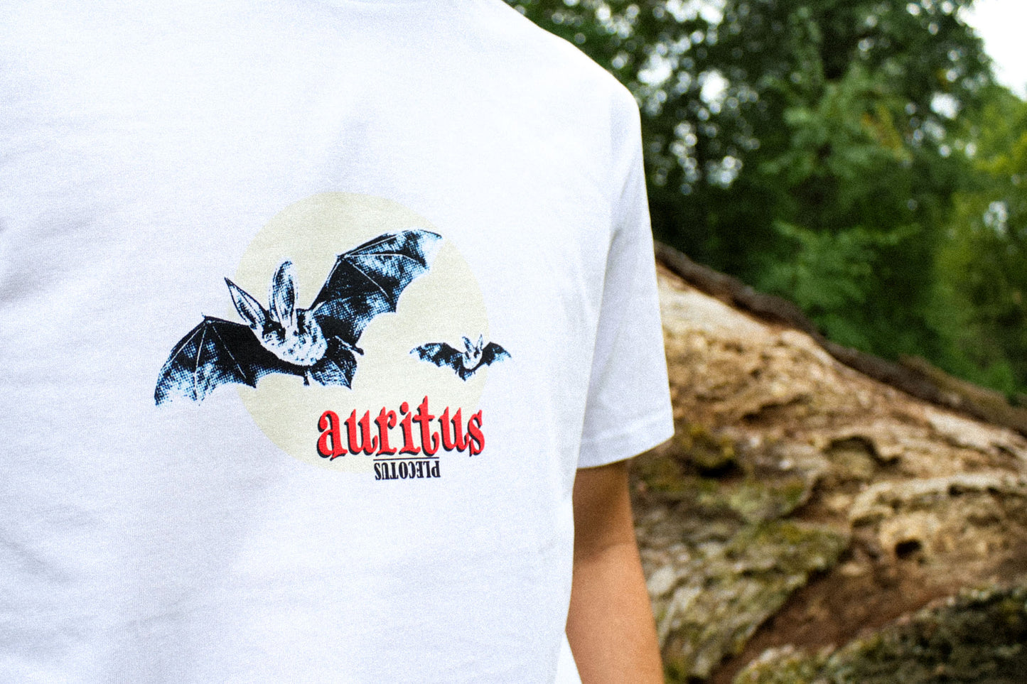 Plecotus Auritus T-Shirt