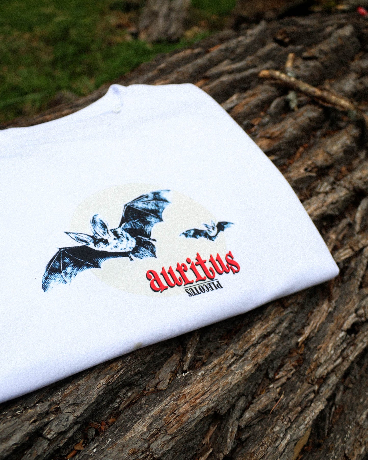 Plecotus Auritus T-Shirt