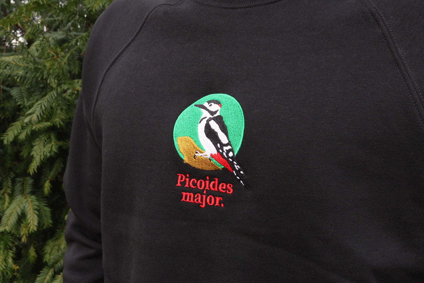 Picoides Major Sweatshirt