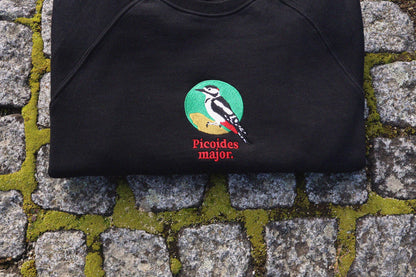 Picoides Major Sweatshirt