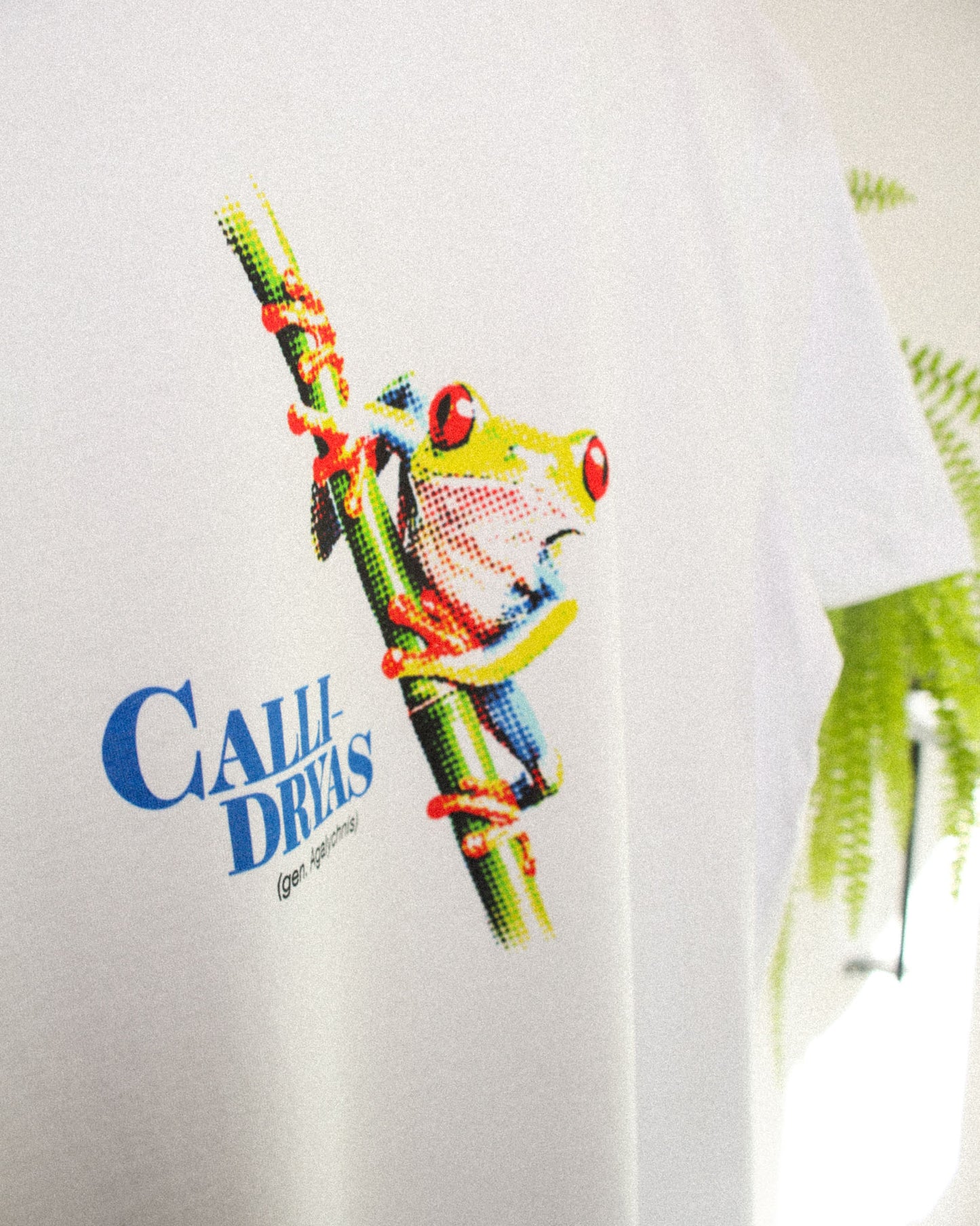 Agalychnis Callidryas T-Shirt