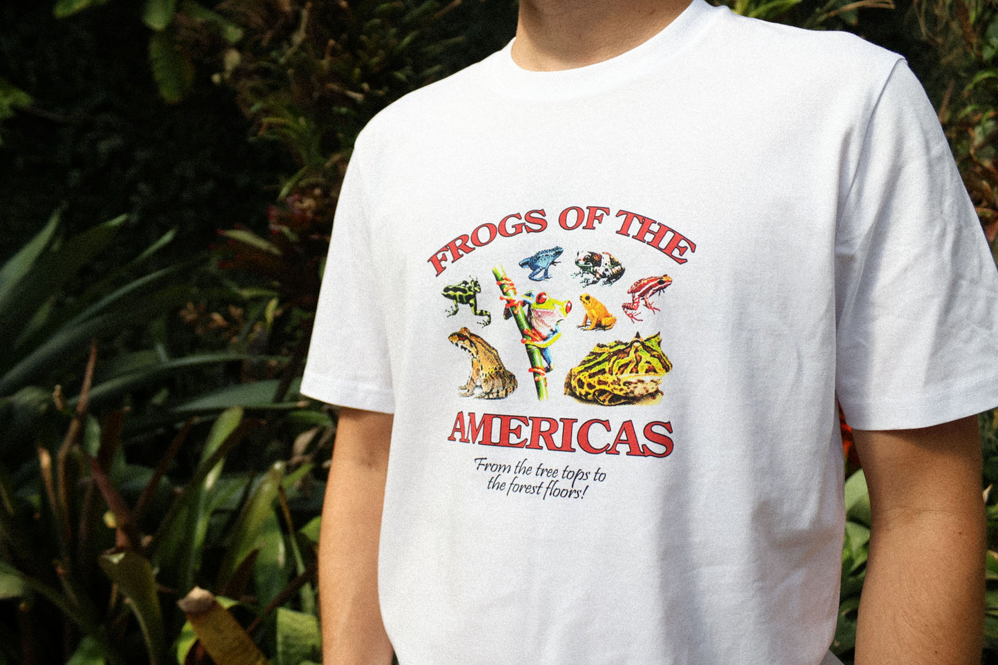 Frogs of the Americas T-Shirt