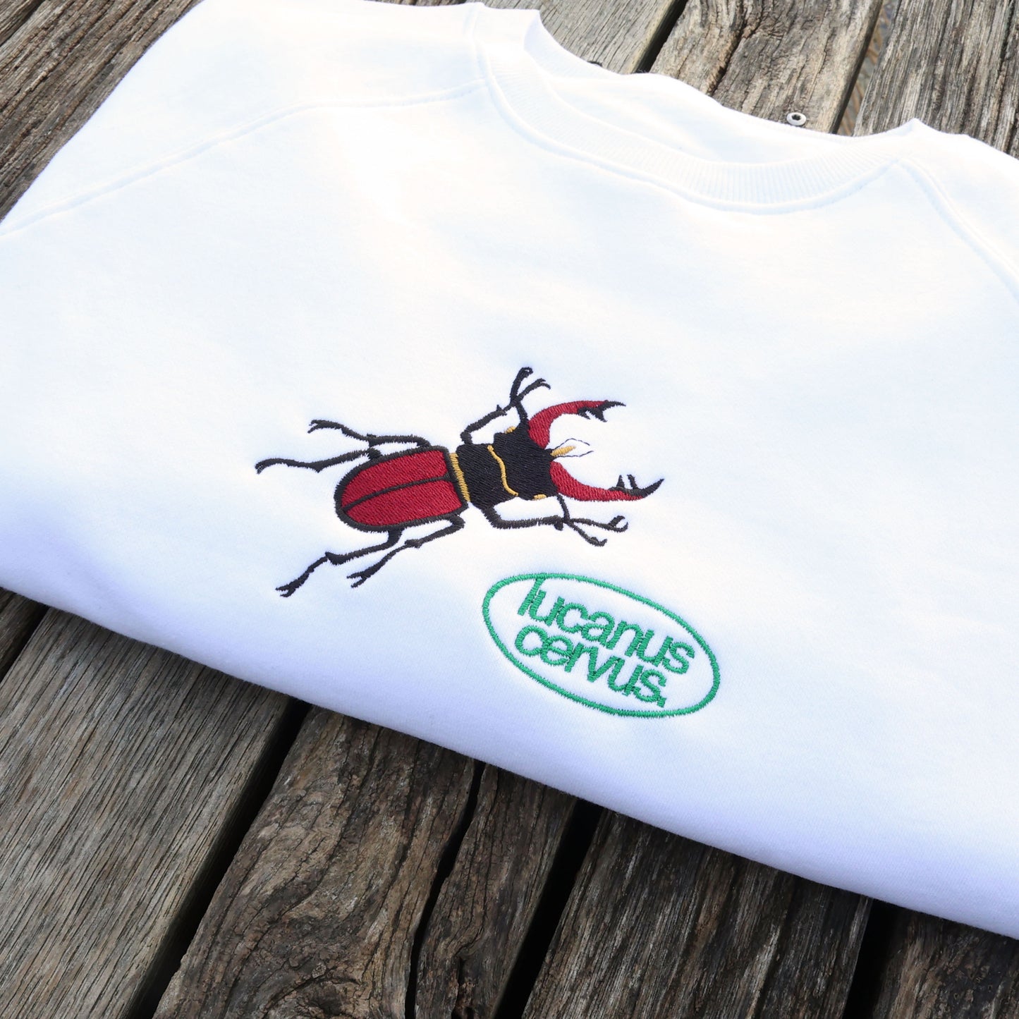 Lucanus Cervus Hoodie