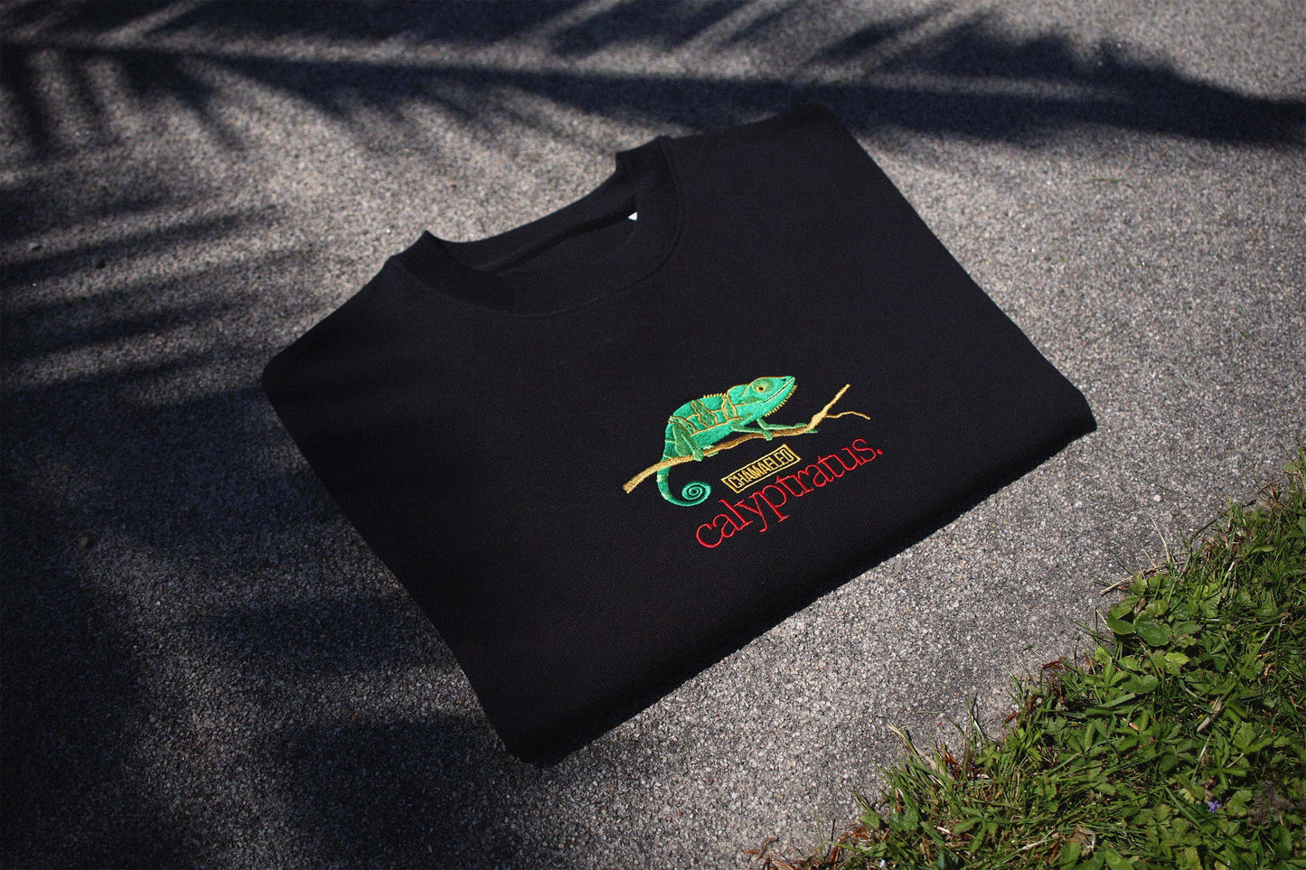 Chamaeleo Sweatshirt