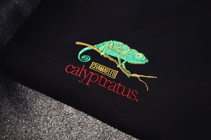 Chamaeleo Sweatshirt