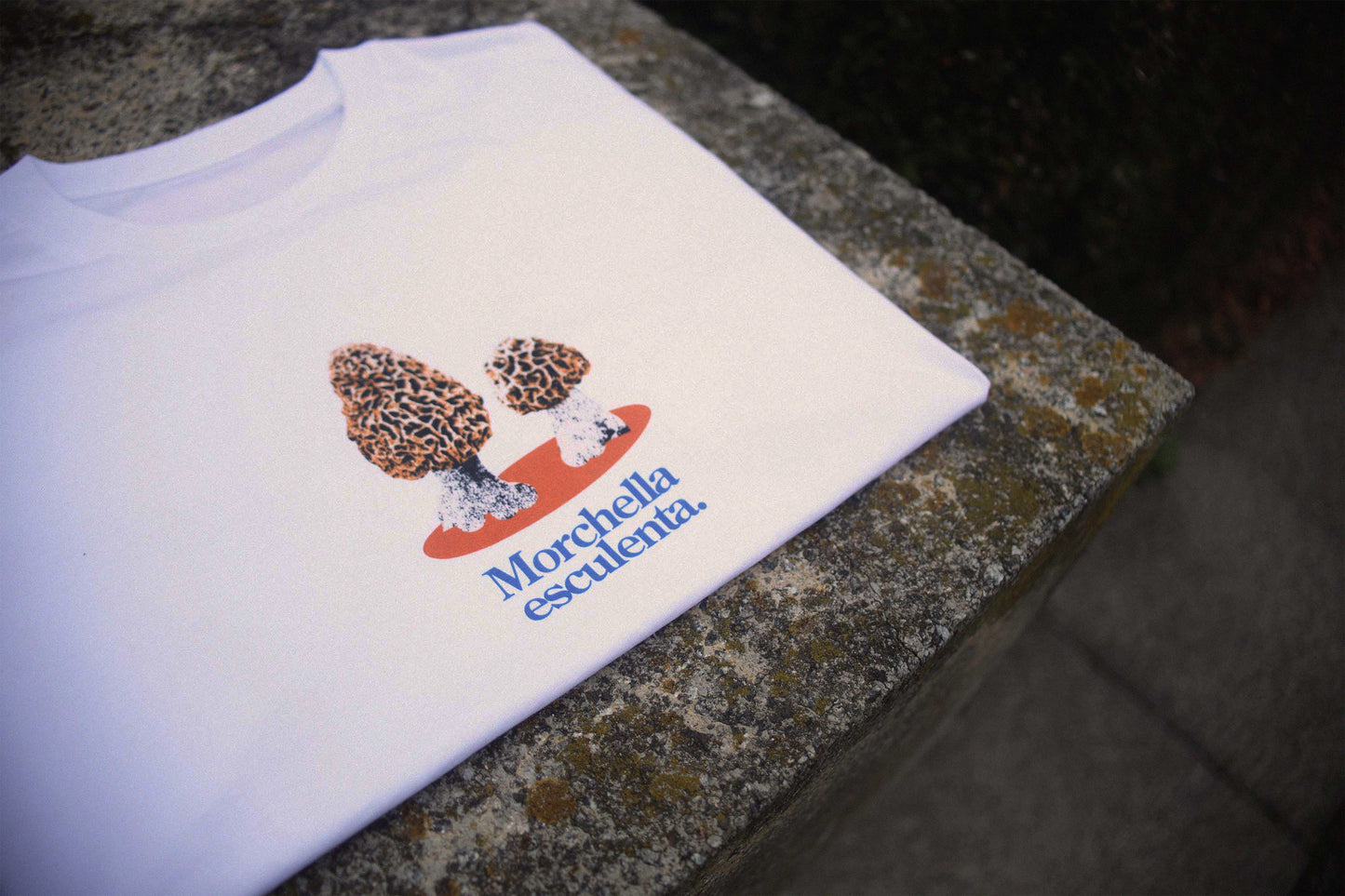 Morchella Esculenta T-Shirt