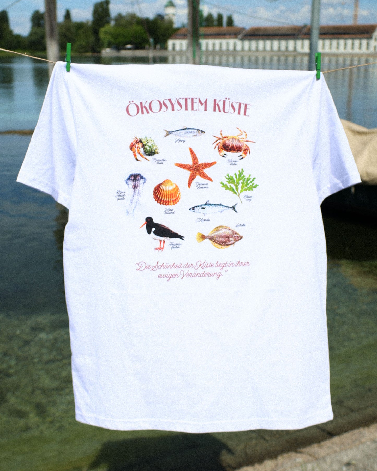 Ökosystem Küste T-Shirt - Größe M - SAMPLE