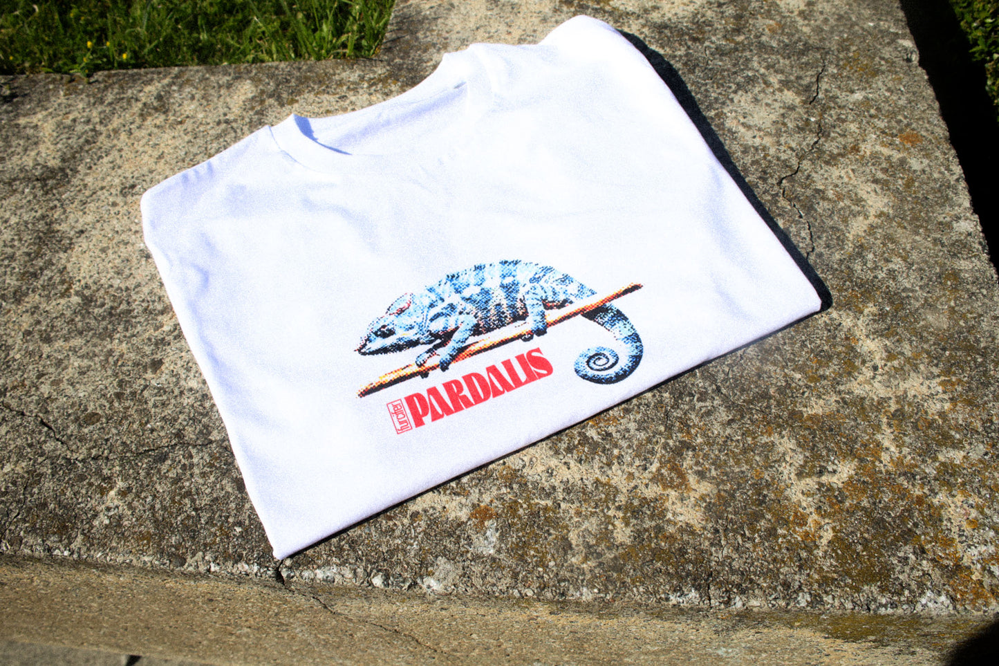 Furcifer Pardalis T-Shirt