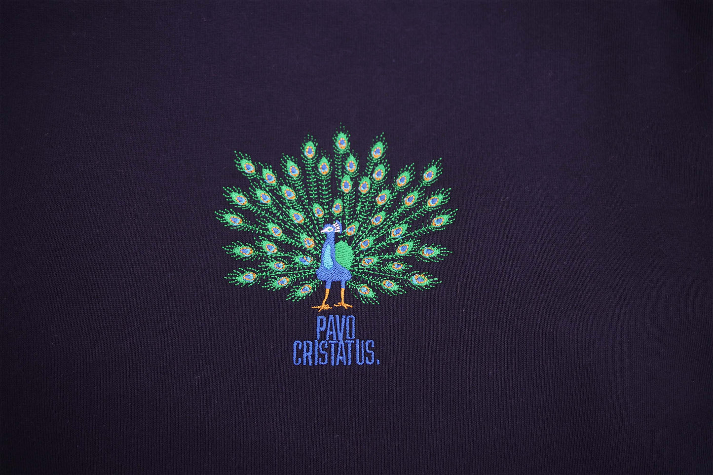 Pavo Cristatus Hoodie