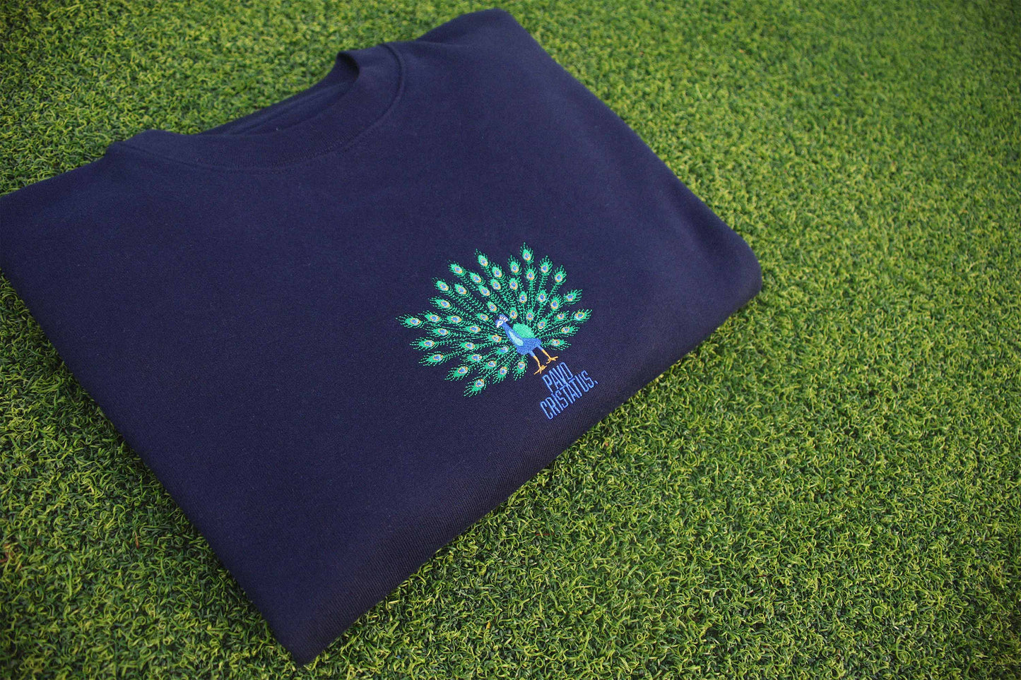 Pavo Cristatus Hoodie