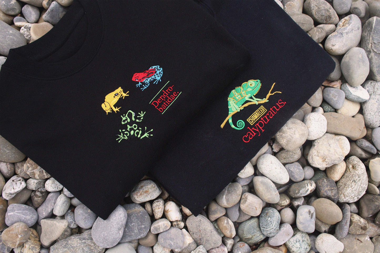 Dendrobatidae Sweatshirt