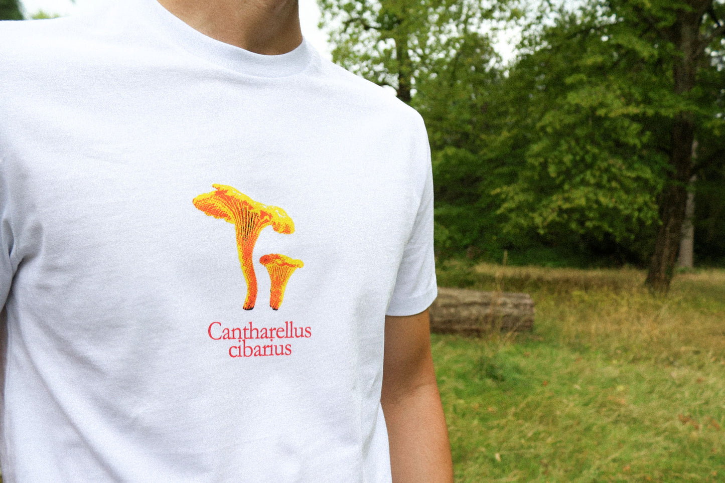 Cantharellus Cibarius T-Shirt