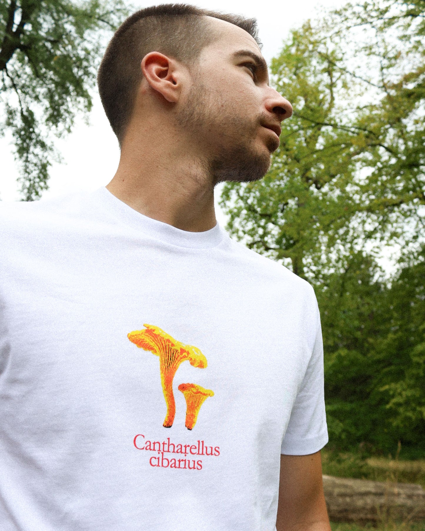 Cantharellus Cibarius T-Shirt