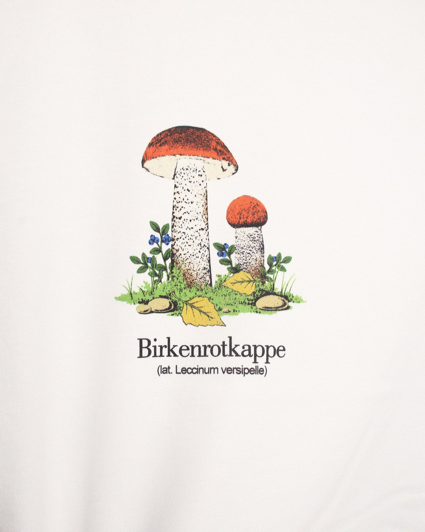 Leccinum Versipelle T-Shirt