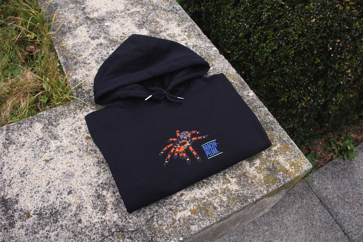 Brachypelma Hoodie
