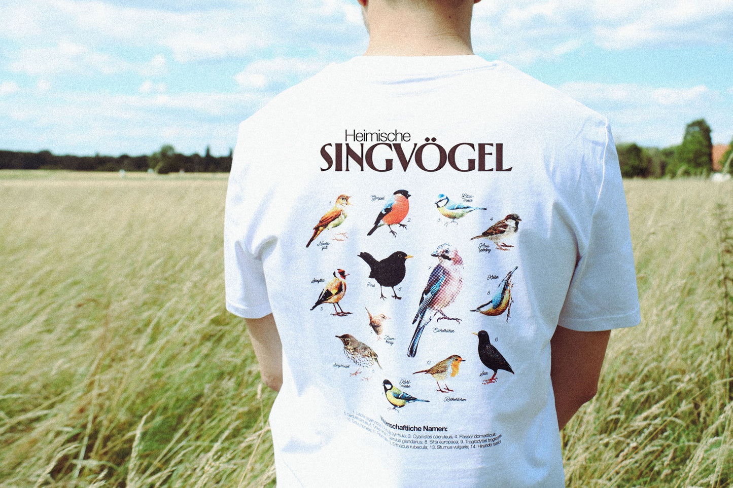 Heimische Singvögel T-Shirt