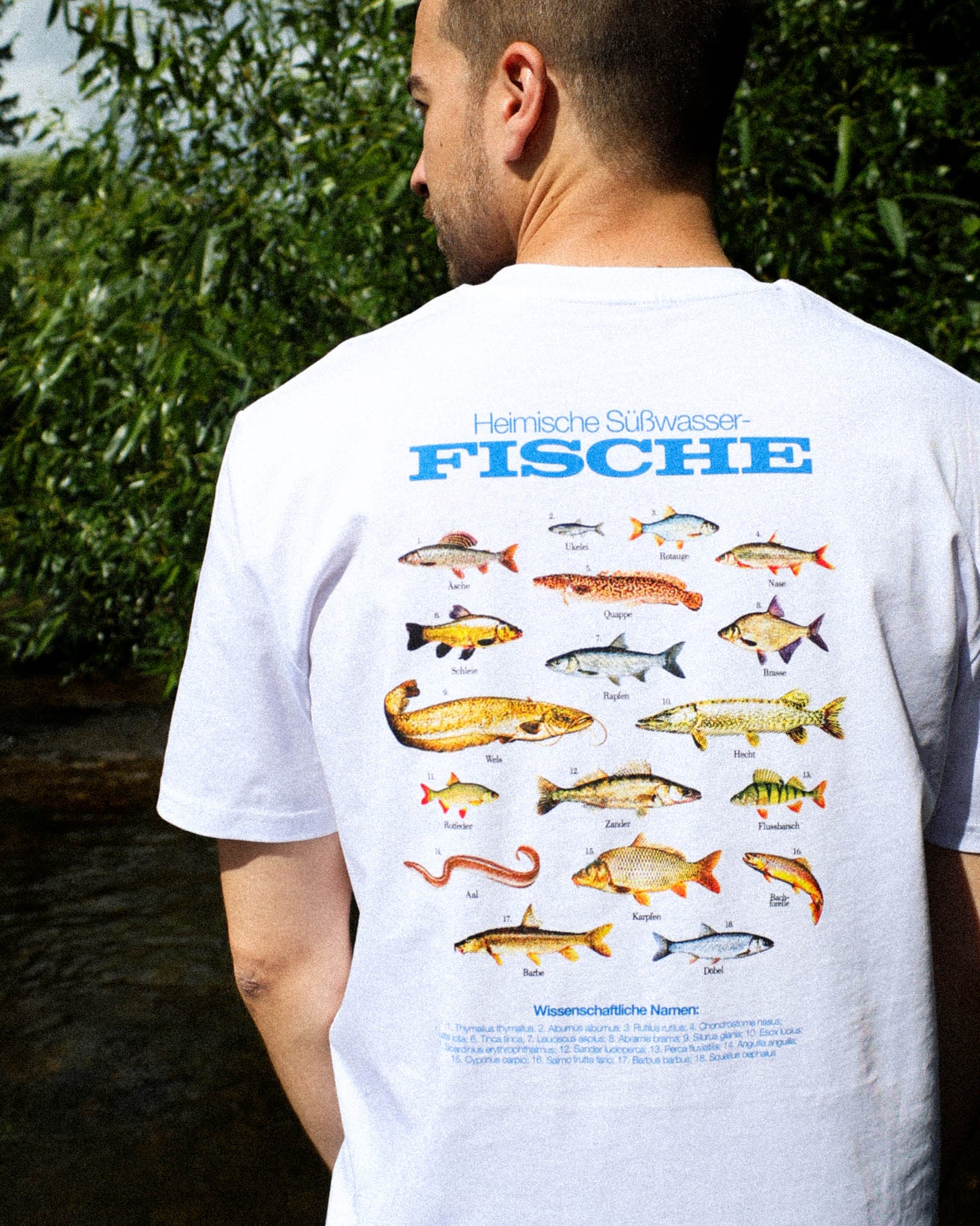 Süßwasserfische T-Shirt
