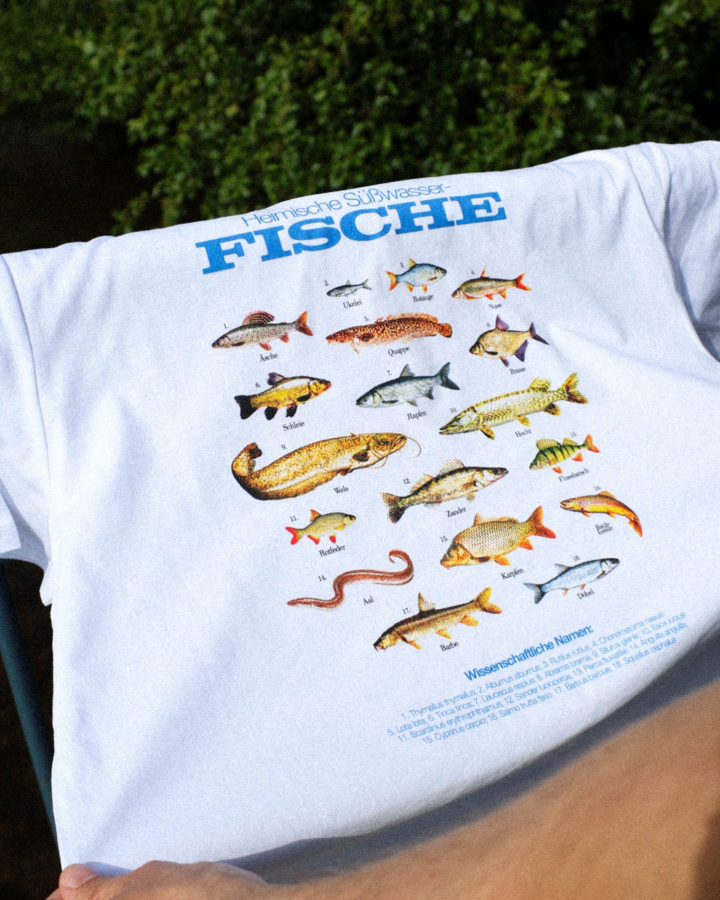Süßwasserfische T-Shirt